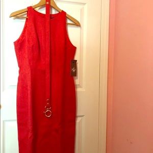 A classy David Meister women’s sheath dress.